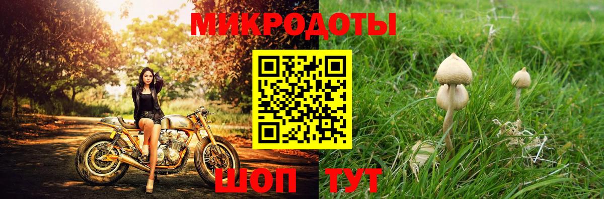 Галлюциногенные грибы мухоморы  Вход с VPN  Карталы 